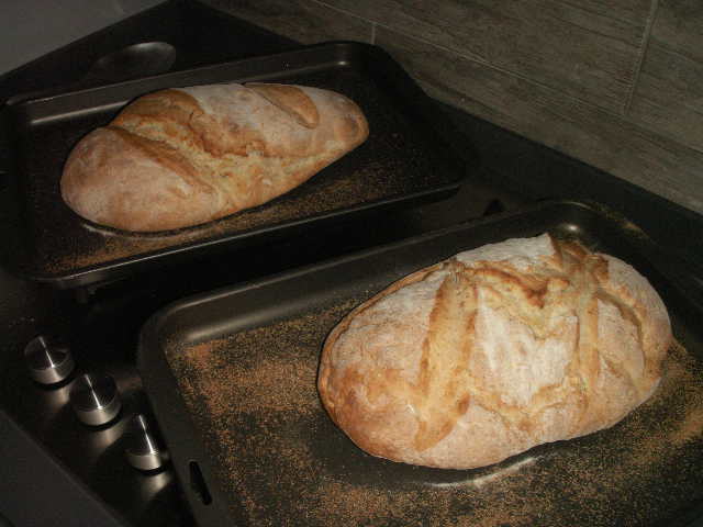 First loaves