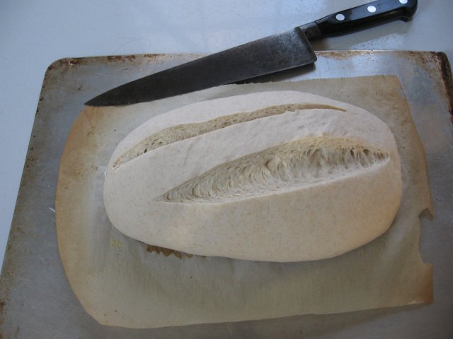 Scored Loaf Ready to Bake