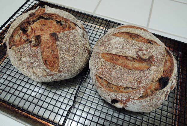 Seed Crusted Sourdough Bread with Dried Cherries