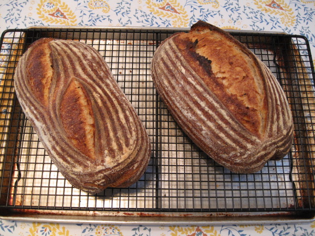 San Francisco Sourdough from Reinhart's "Crust&Crumb"