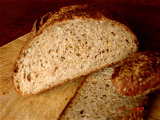 sourdough wheat crumb