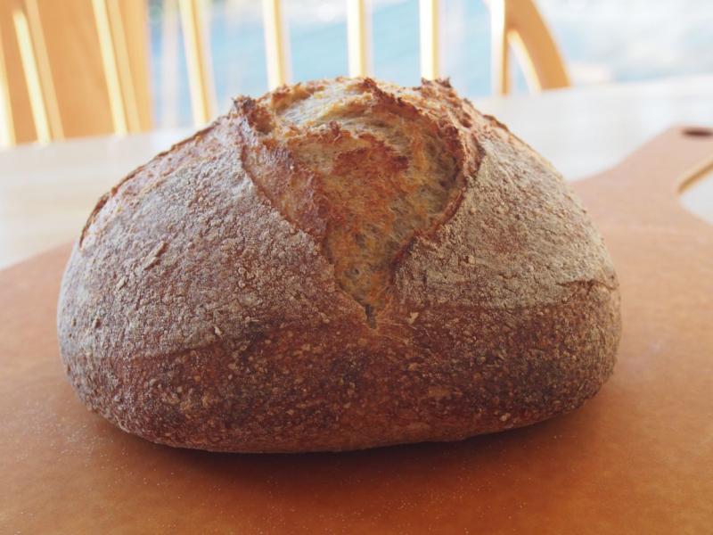 Cornmeal Rye 1