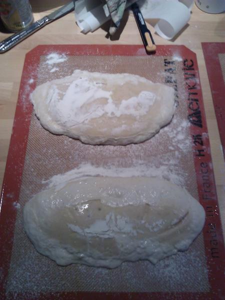 Ciabatta dough ready for the oven