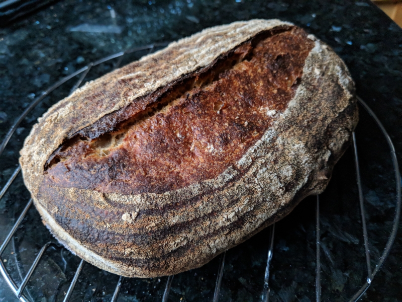 revived rye starter loaf