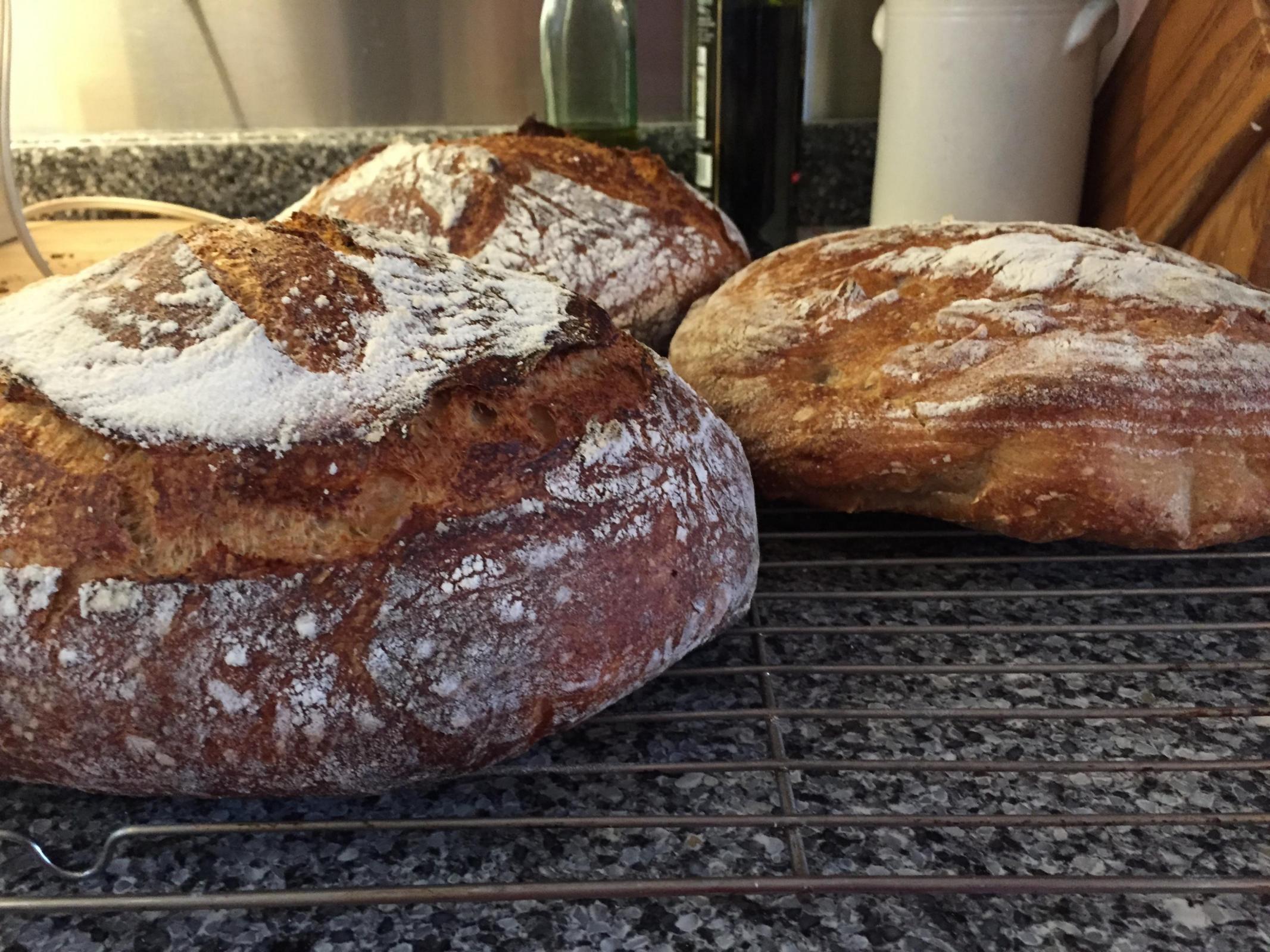 Today's  loaves next to yesterday's less than spectacular bake