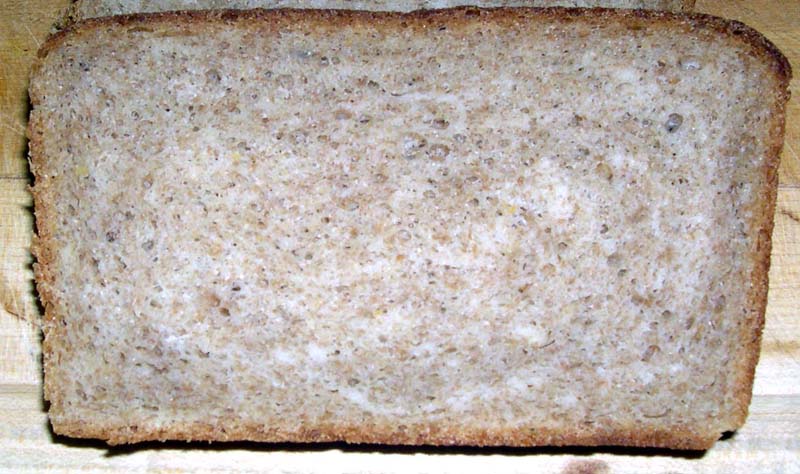 Crumb of Whole Wheat Salt Rising Bread
