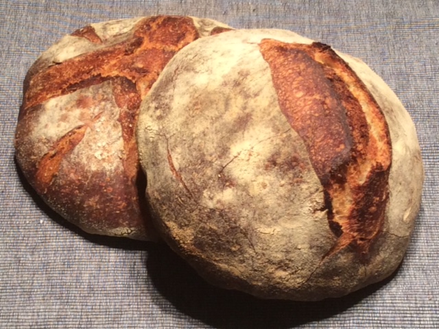 Photo of two boules of my 1-2-3 Sourdough after baking