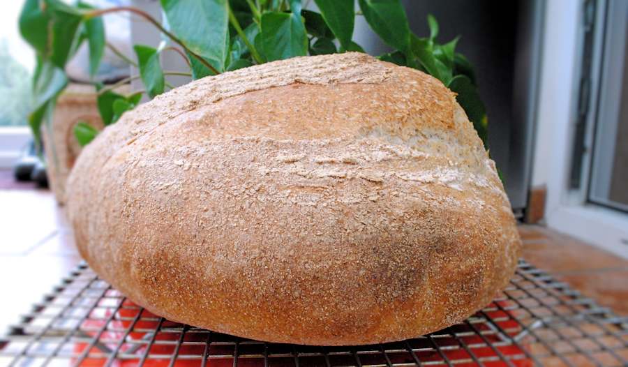Cheat's sourdough baked on stone