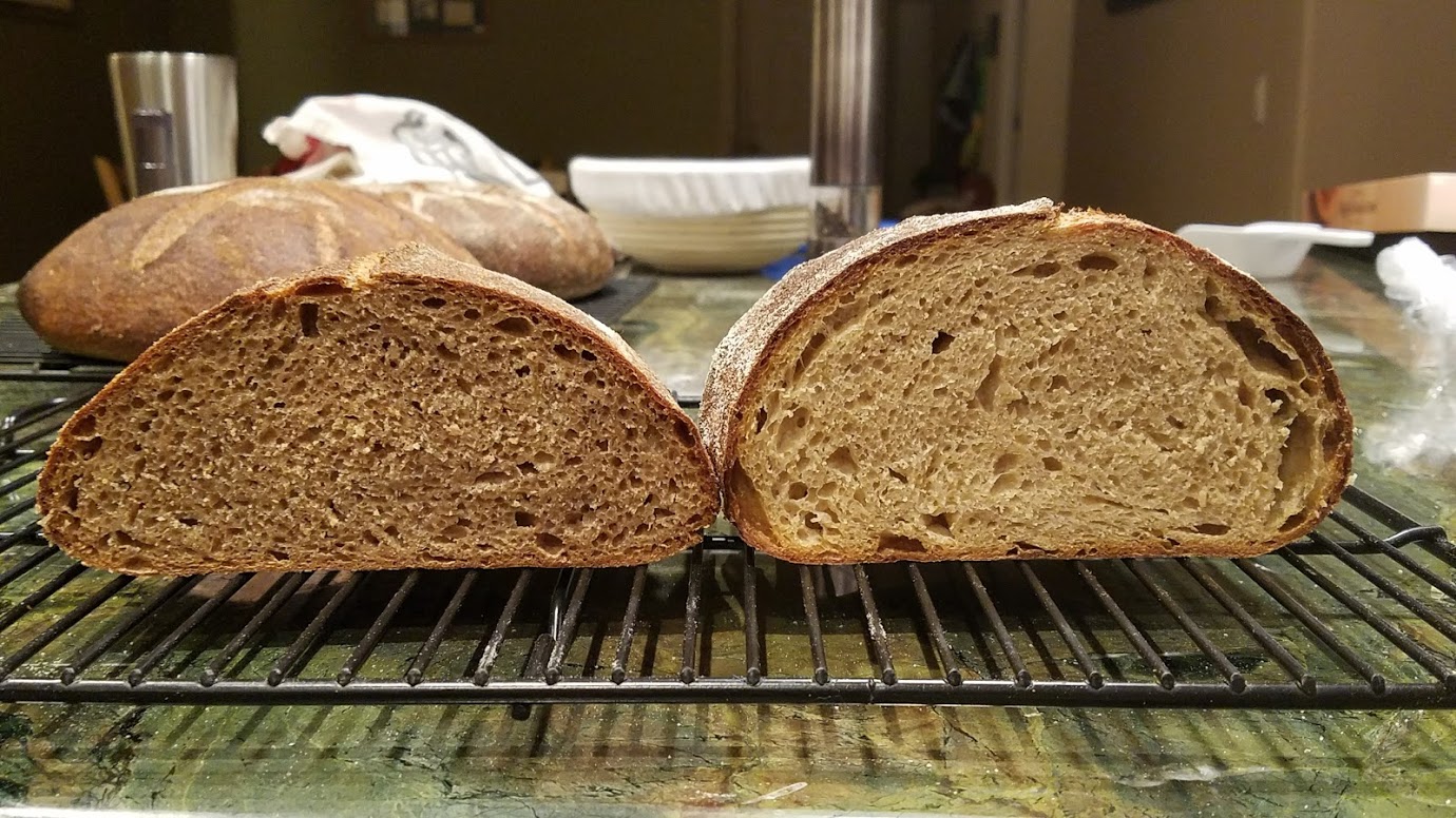 Great River Hard Red Spring wheat vs Prairie Gold at 85% hydration