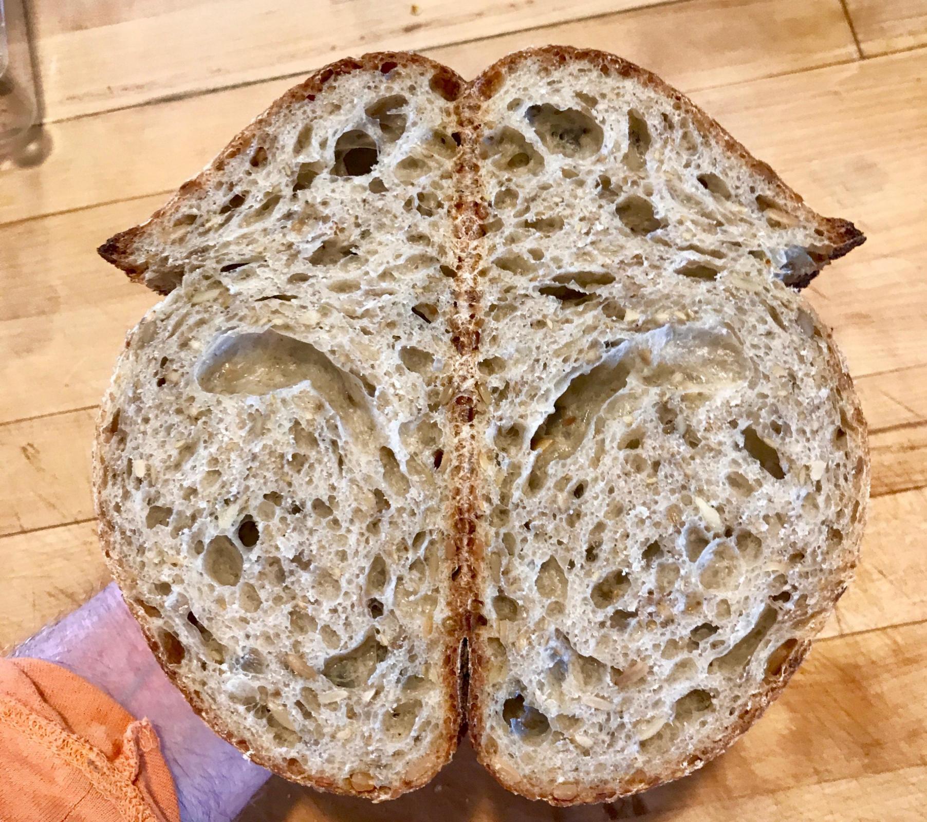 Sourdough Seed Bread crumb