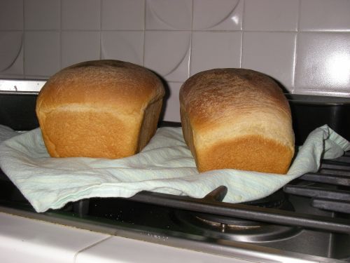 KAF sandwich loaves