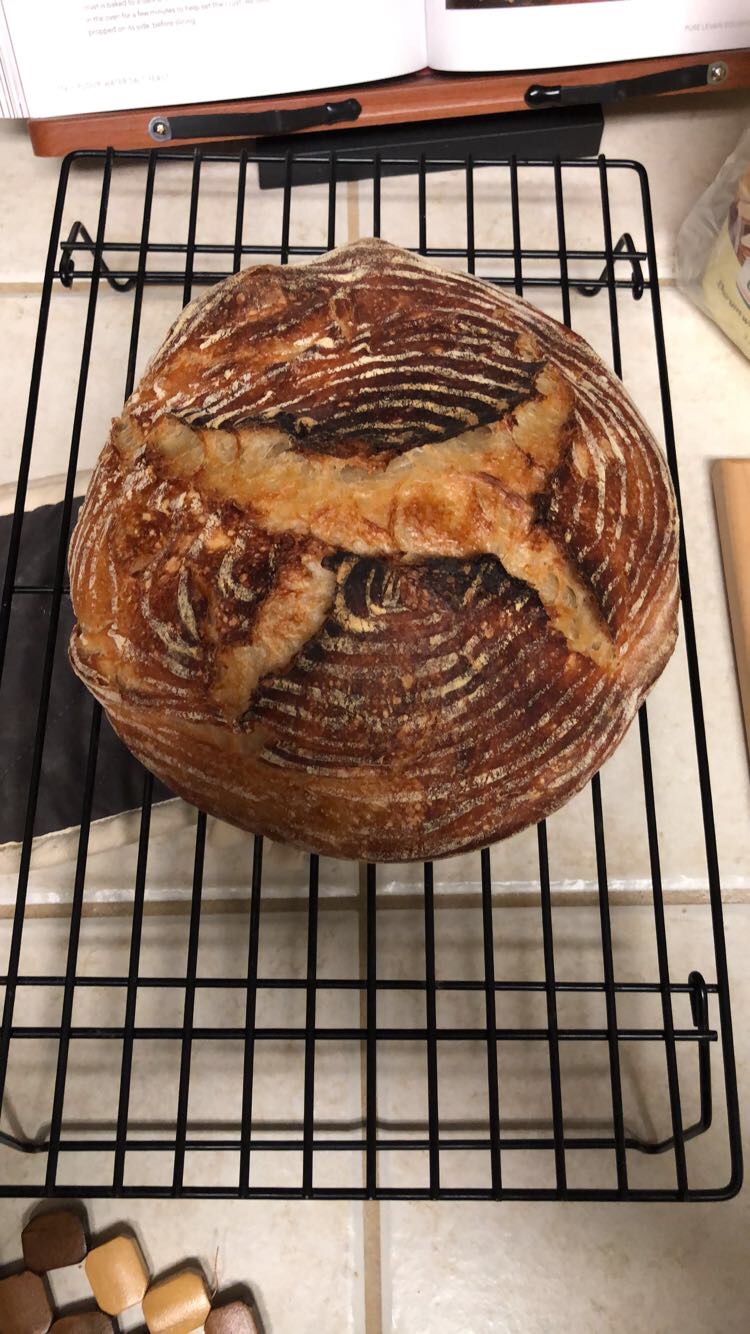 First Loaf From