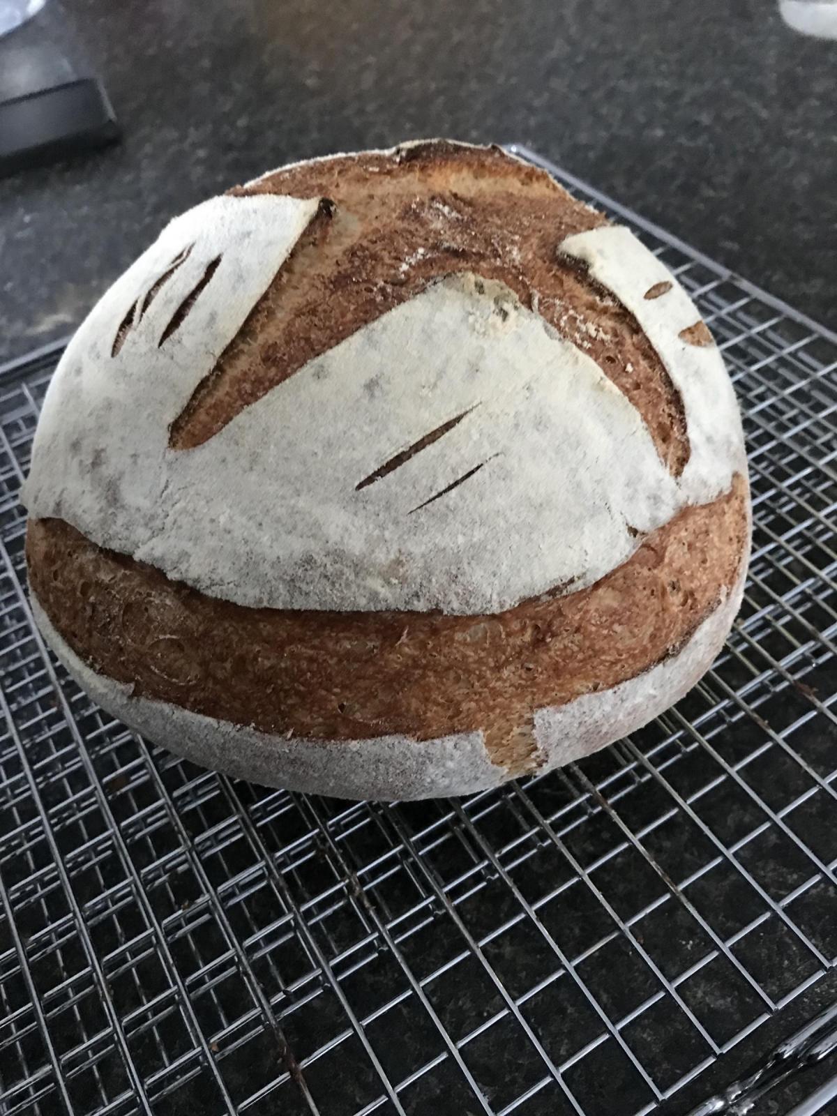 Rustic 50% Whole Wheat and Caraway Sourdough (63% hydration)