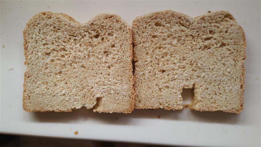 Large pores at top of Barley Bread Slices