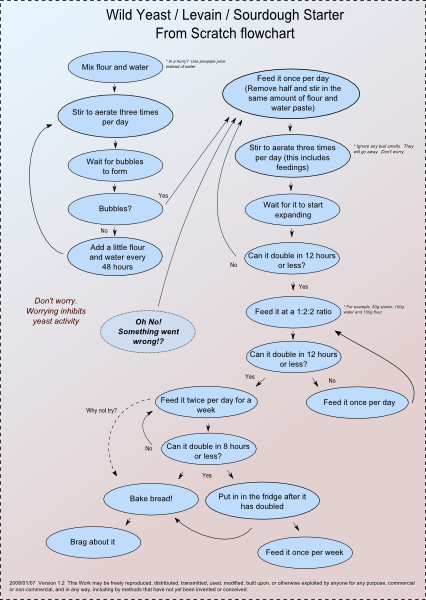 Flow Chart Starter Activity