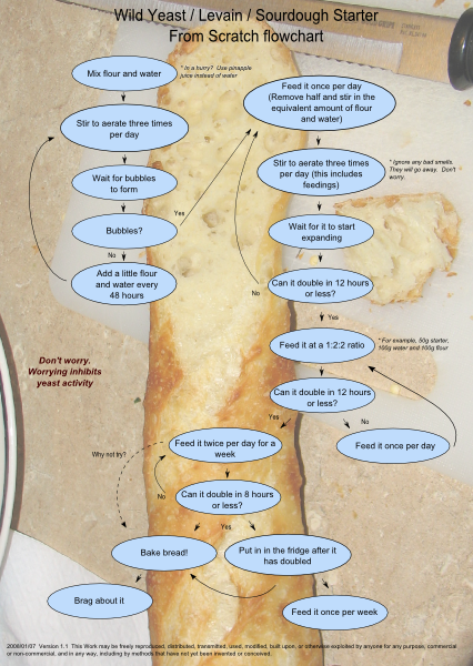 Flow Chart Starter Activity