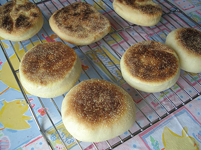 20050327englishmuffins2.jpg