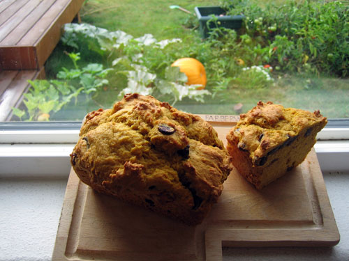 pumpkin bread in window