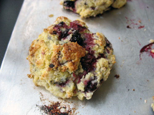 Easy scone recipes