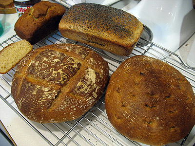 mixed breads