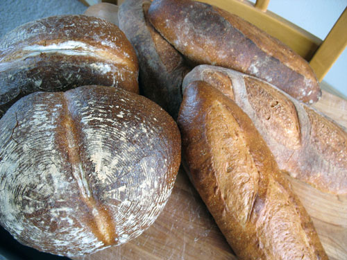 many breads I baked today