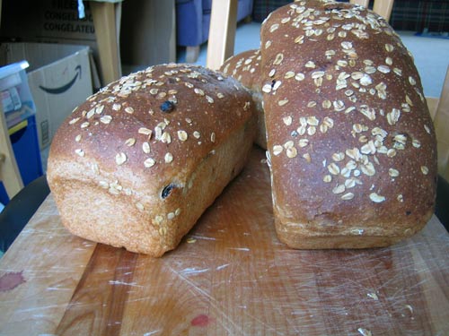 cinnamon raisin oatmeal bread