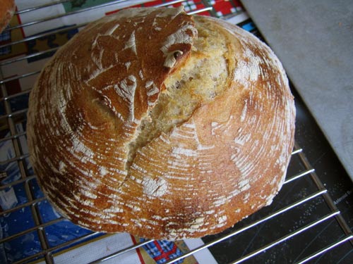 sourdough round