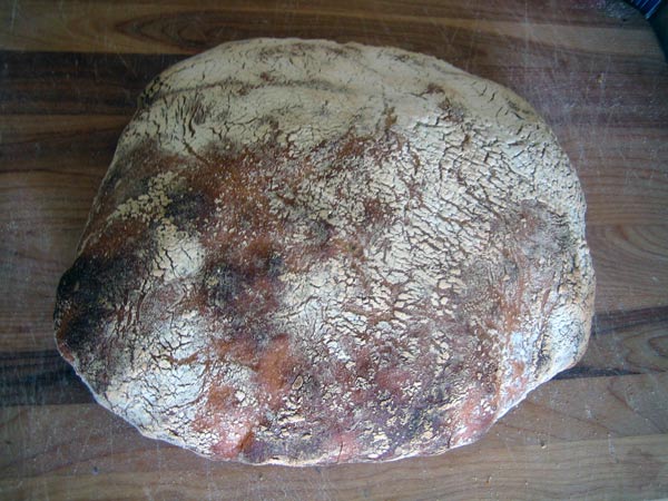 ciabatta bread