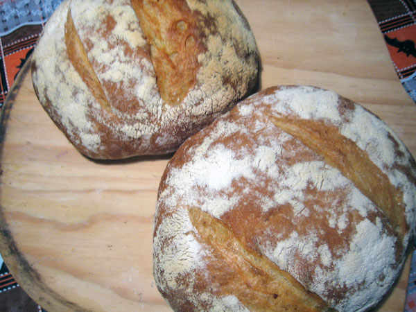 Pugliese loaves