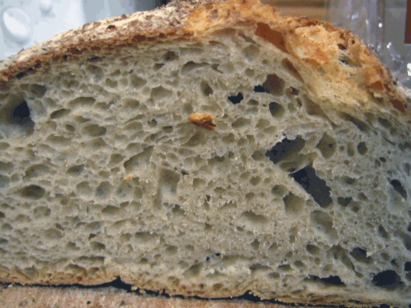 no knead bread