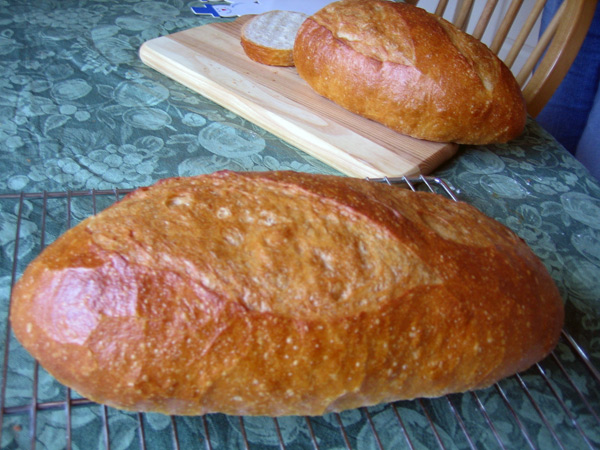 french bread