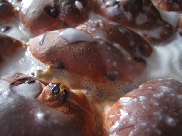 Cranberry-Chocolate Sweet Buns