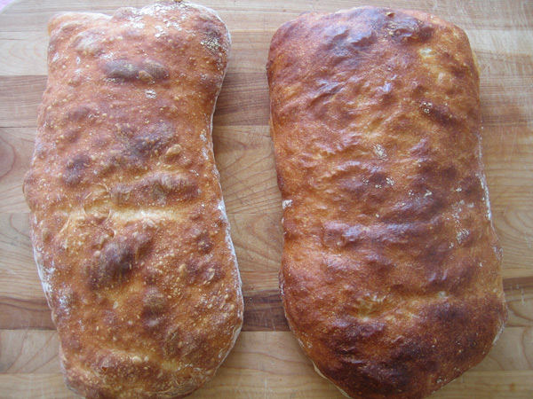 ciabatta