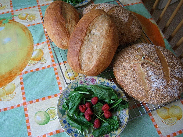 italian breads