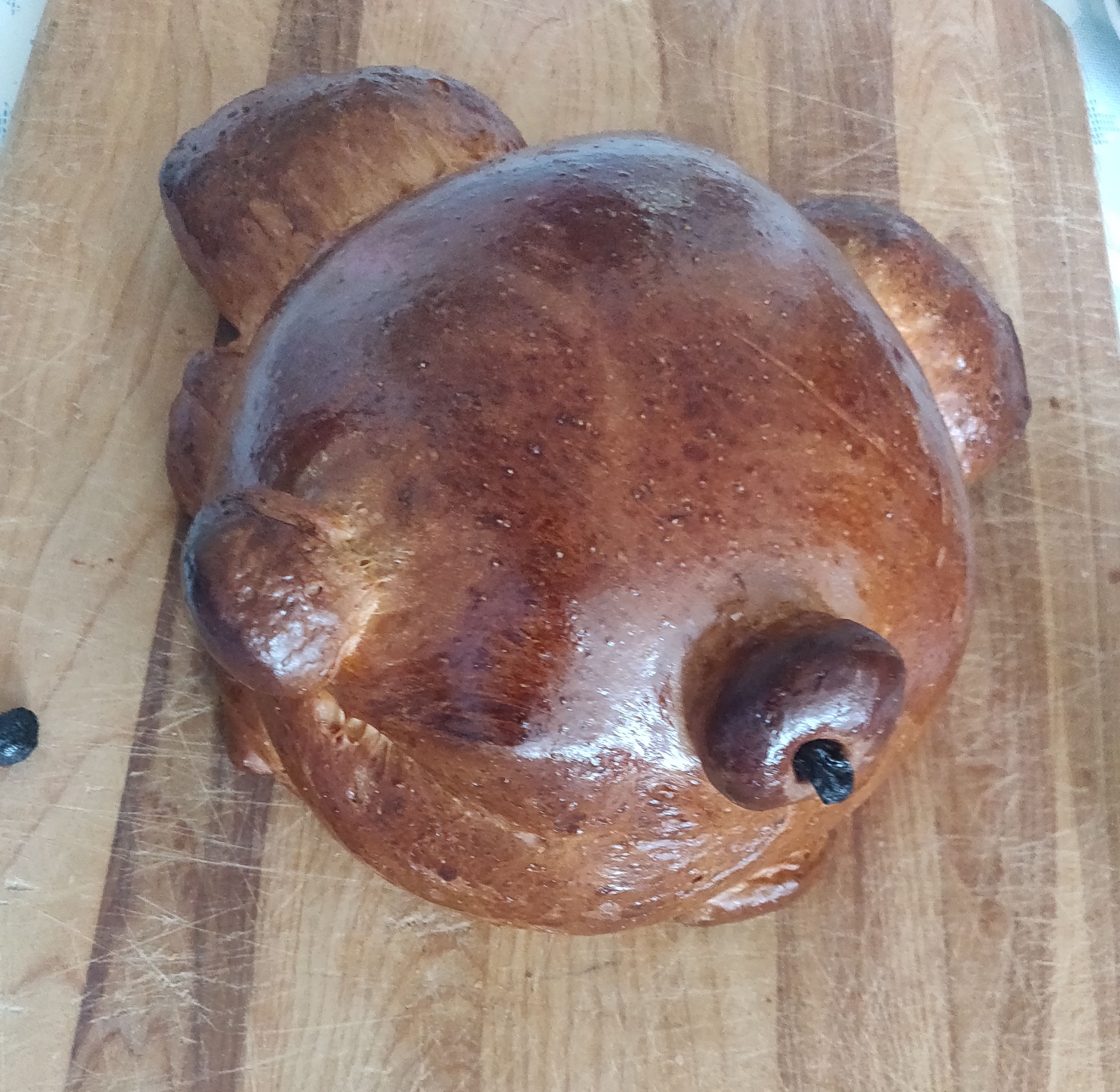 Frog Bread