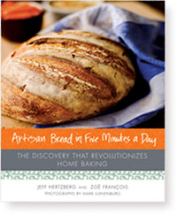 artisan bread in 5