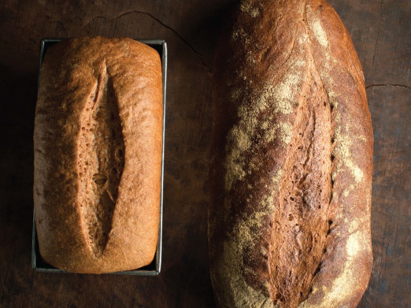 Easy Dutch oven sourdough bread for beginners - Sprouting Wheel