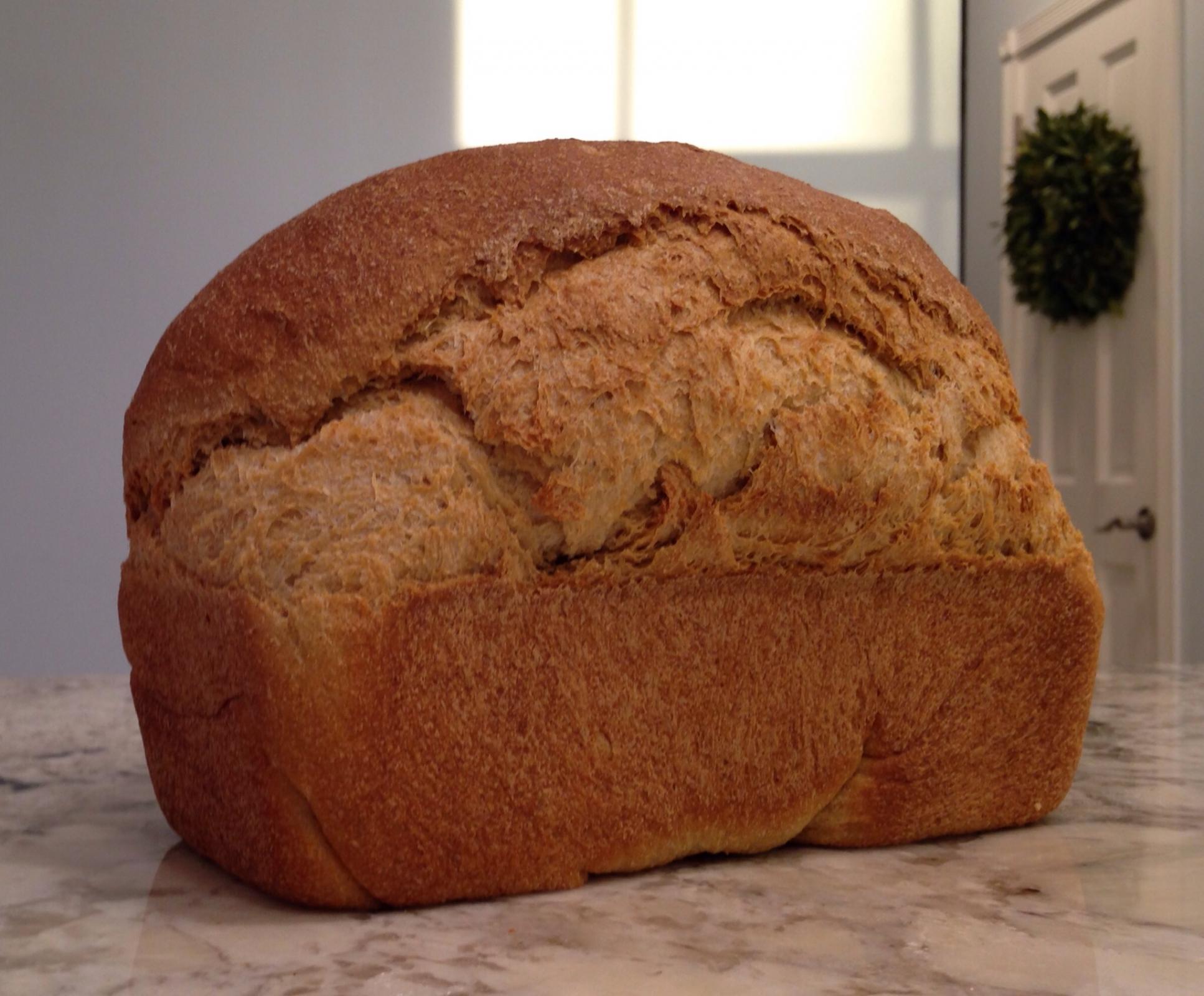 break down crawl surfing 100% Whole Wheat loaves with Tangzhong method | The Fresh Loaf break down crawl surfing 100% Whole Wheat loaves with Tangzhong method | The Fresh Loaf