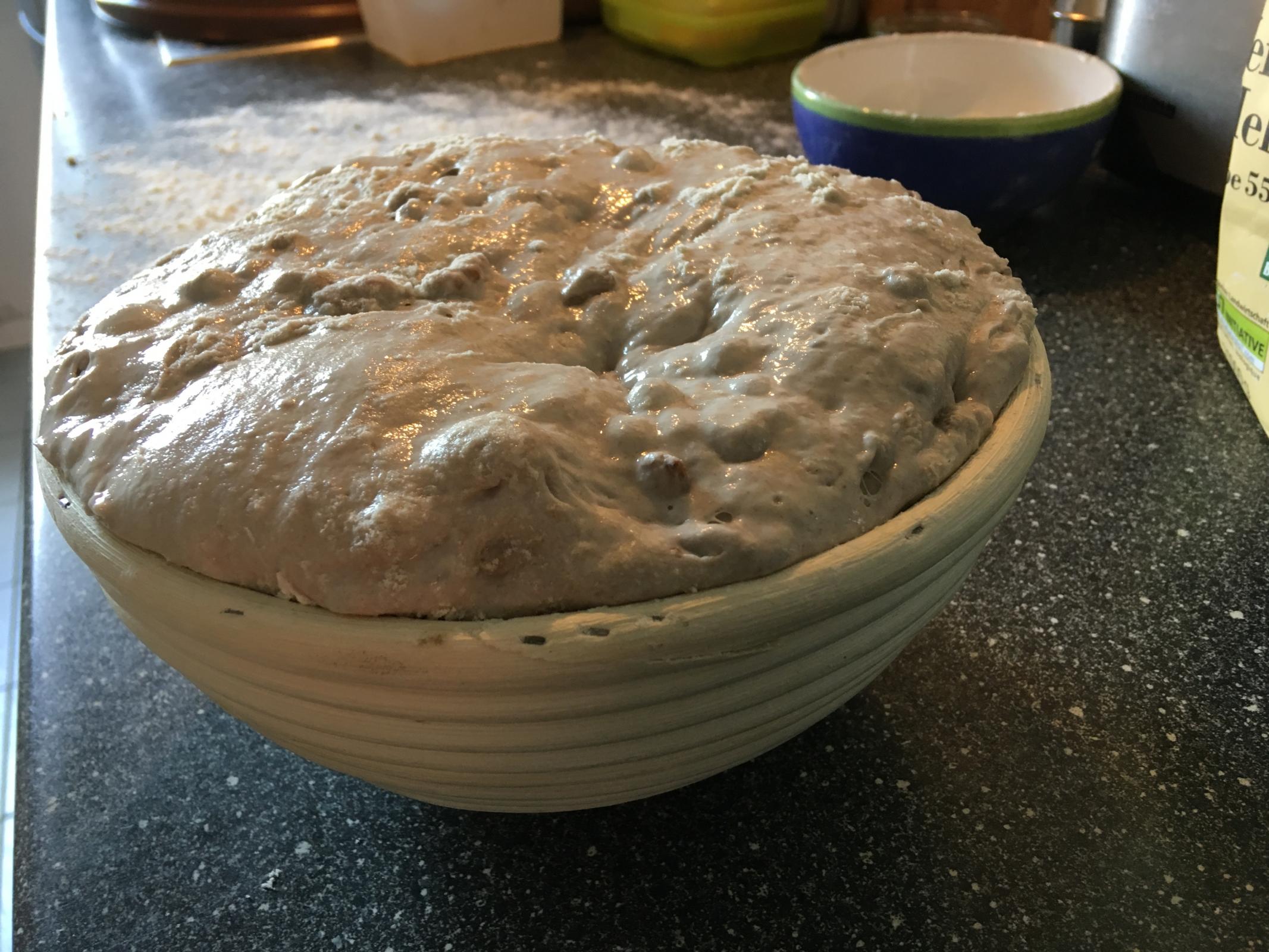 FWSY Walnut Levain Bread FAIL! Help needed! The Fresh Loaf