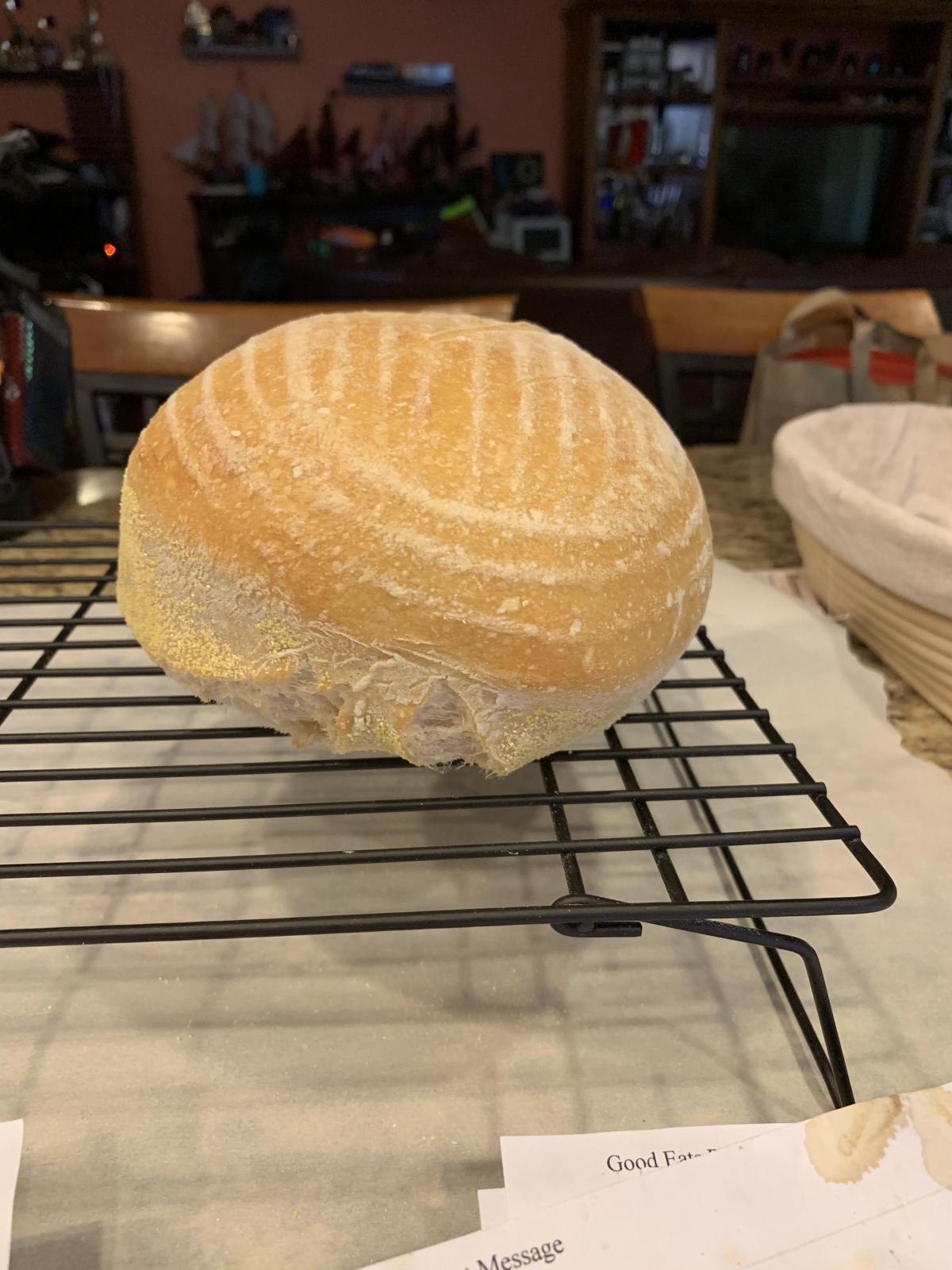 Bread rising unevenly The Fresh Loaf