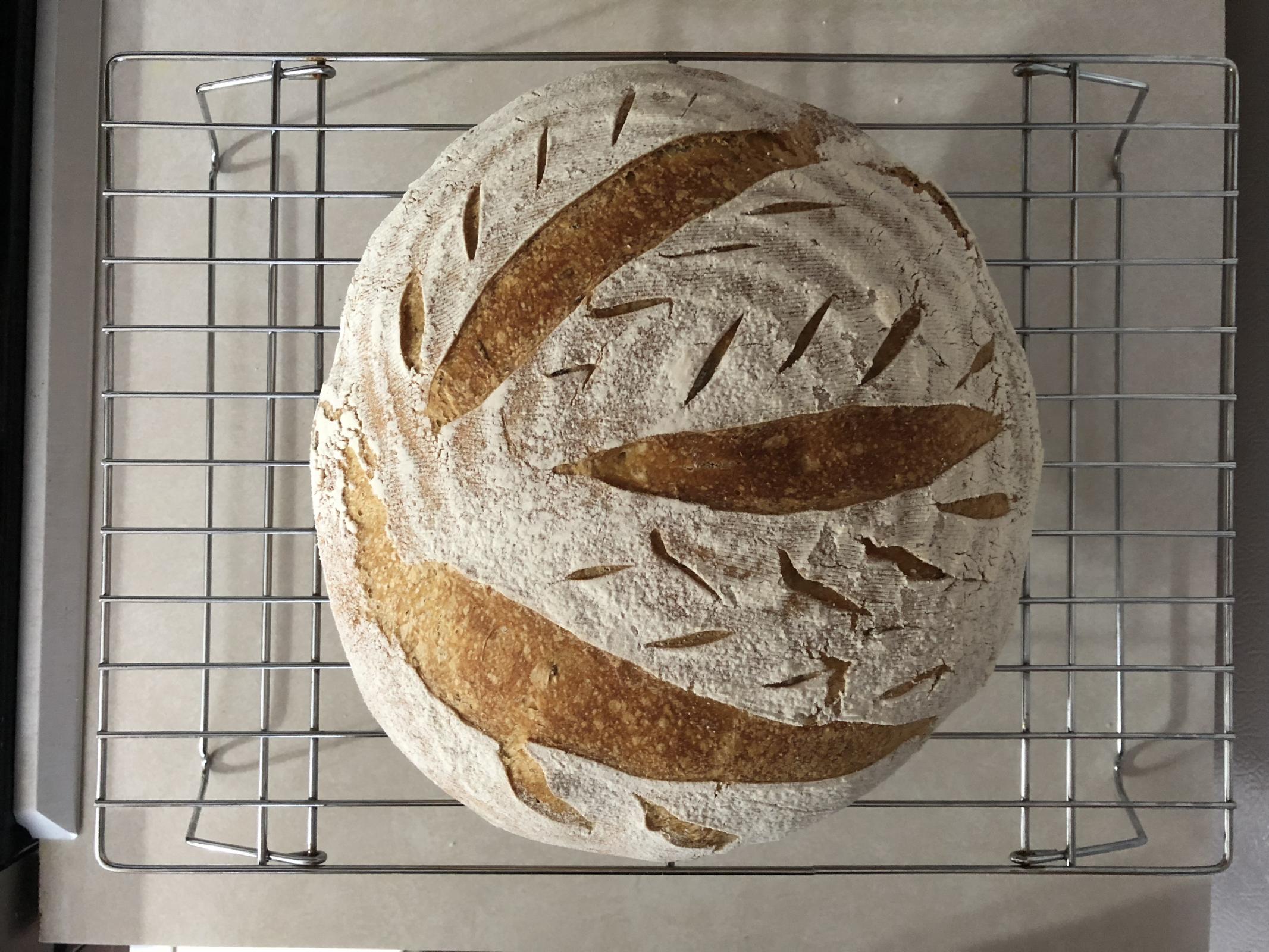 Baking with a Cloche, Question The Fresh Loaf
