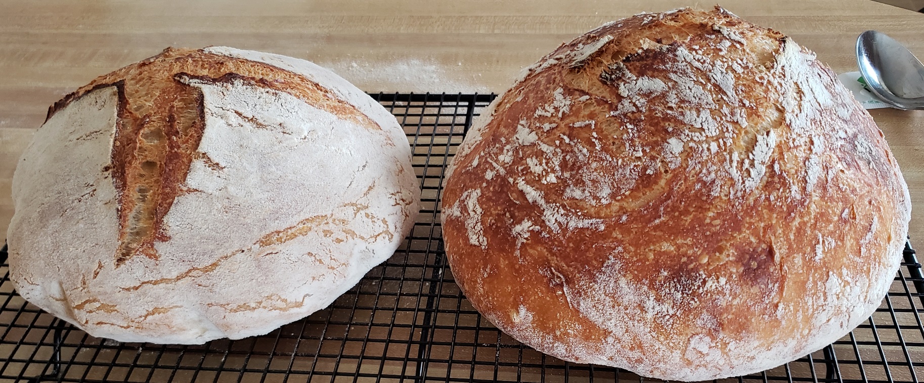 First Attempt at High Hydration Sourdough Bread The Fresh Loaf