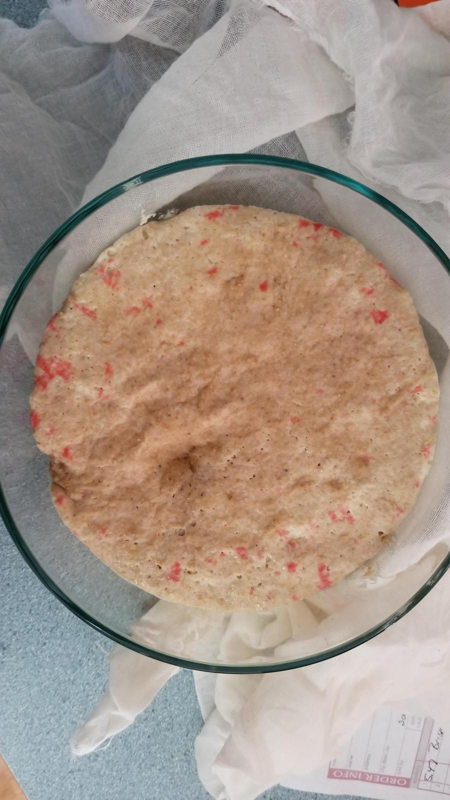 Bright red spots in starter. | The Fresh Loaf