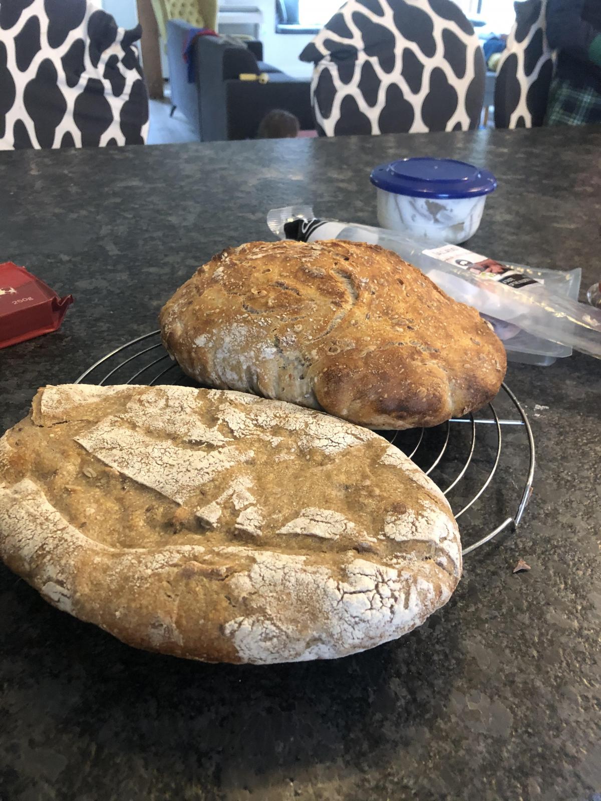 Bread did not rise at all The Fresh Loaf