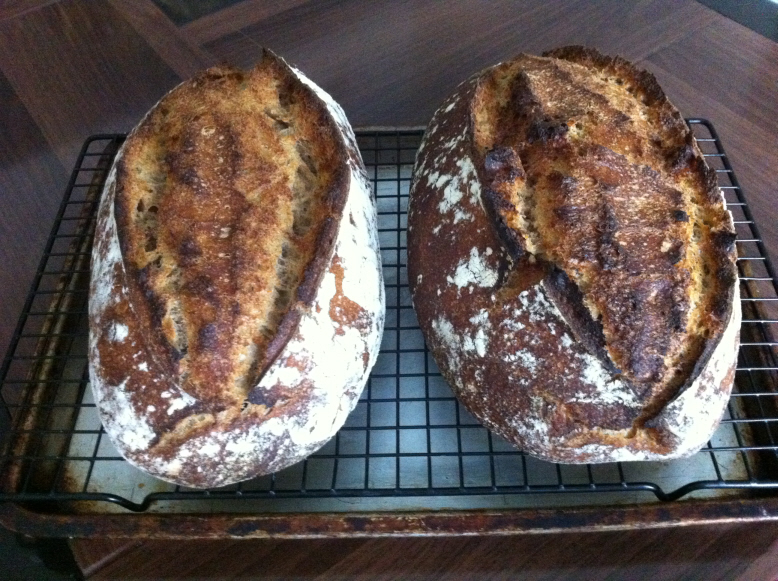 Whole Wheat Bread from “Tartine” The Fresh Loaf