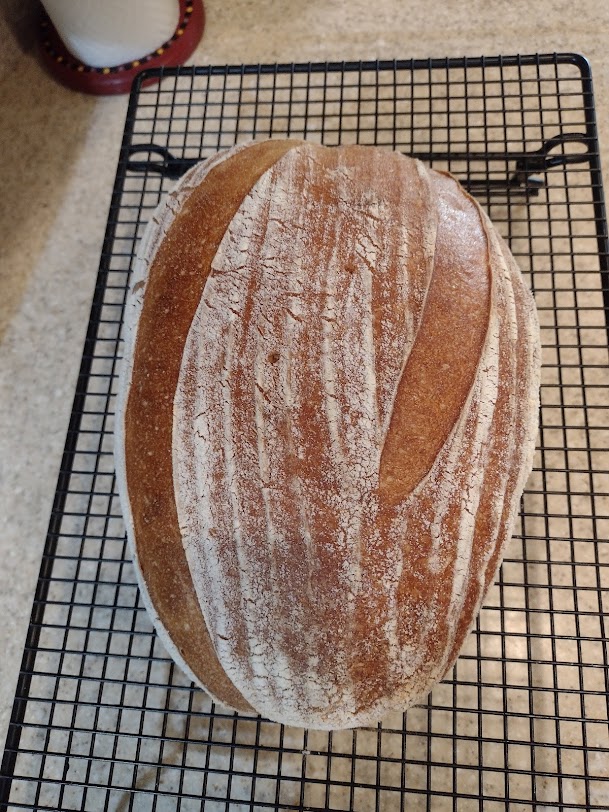 Baking Soudough on a Pizza stone The Fresh Loaf