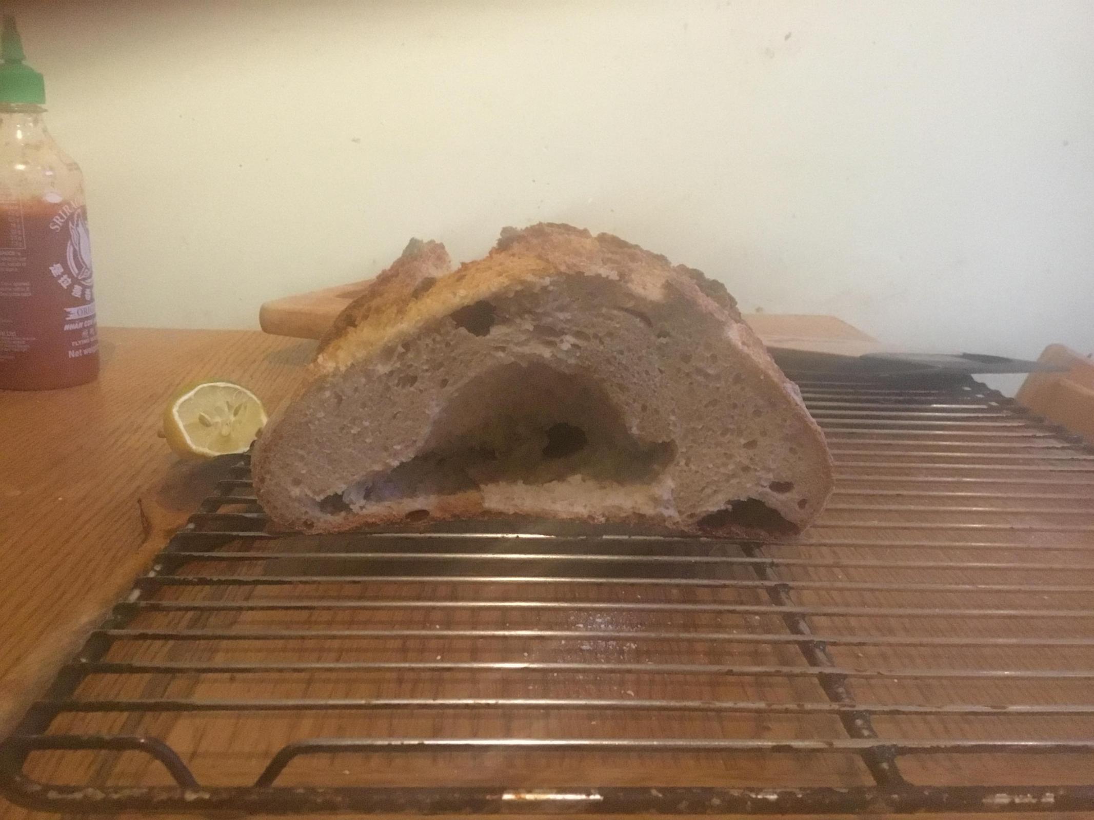 Sourdough in a cold temperature The Fresh Loaf