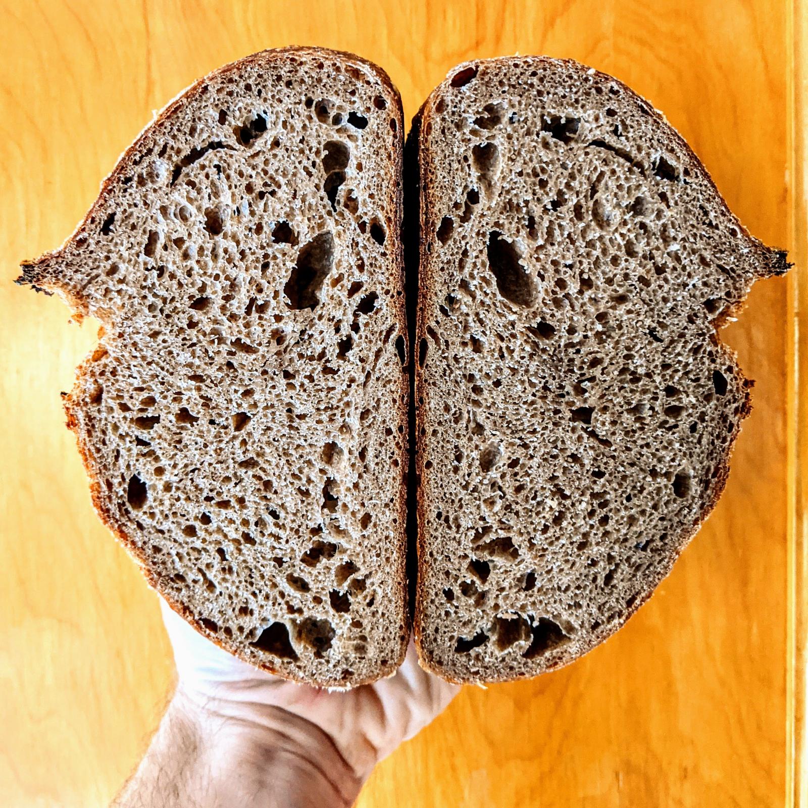 my-daily-100-whole-grain-sourdough-brown-bread-the-fresh-loaf