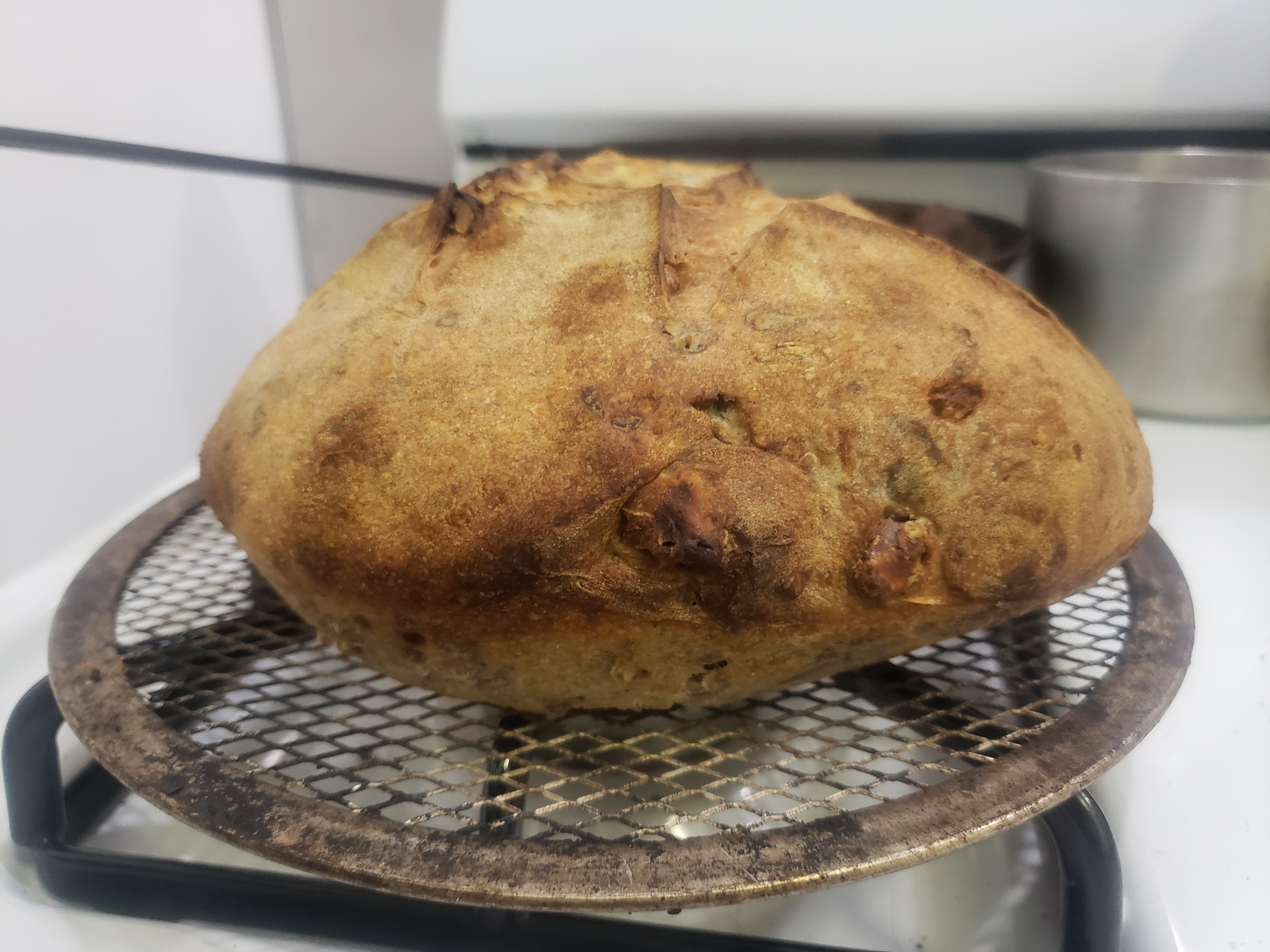 Baking bread in shop a convection oven