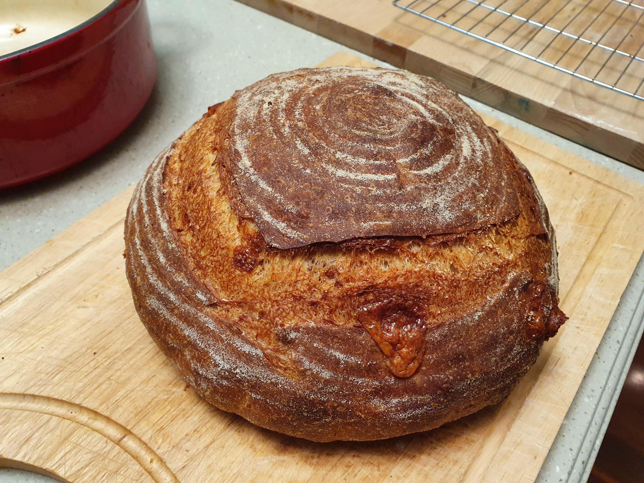 Hamelman's sourdough Cheese Bread highly The Fresh Loaf